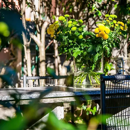 Letitino Apartamento